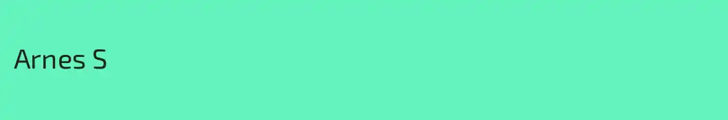 Arnes S